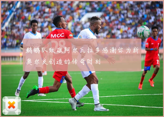 鹈鹕队致敬阿尔瓦拉多感谢你为新奥尔良创造的传奇时刻
