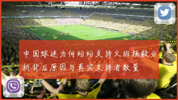 中国球迷为何纷纷支持文班杨毅分析背后原因与真实支持者数量